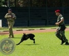 Latihan Bersama Pawang Anjing Pelacak Bahan Peledak Semakin Matang Tiap Tahunnya