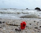 Bangka Island Commemoration