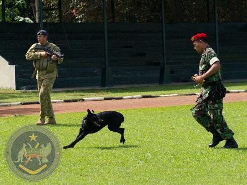 03 EDD EOD 2012