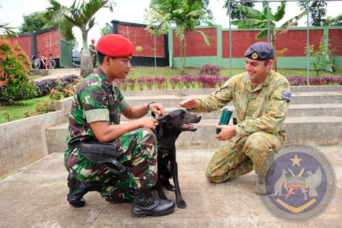 04 EDD EOD 2012