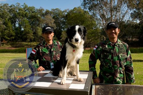 02 EOD EDD Sydney 2012
