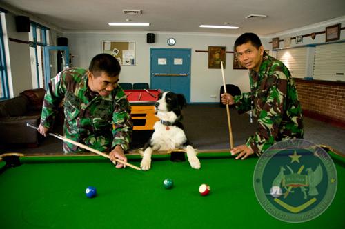 05 EOD EDD Sydney 2012